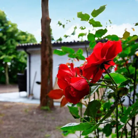 Hotel Three-bedroom In Bredebro 3*